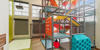 The Oasis at Twin Lakes Gallery 16