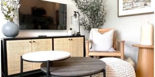 Santa Monica Palms Gallery 6