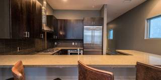 Luxury Penthouse Condo Located in Downtown Pittsburgh (Reduced Security Deposit on Move in) Gallery 17