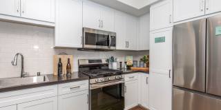 Vineyards Gallery 117