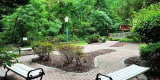 9016 LAKE LARGO Drive Gallery 14