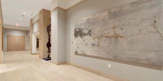 Ritz-Carlton Residences Tampa Gallery 98