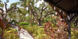Arietta 55+ Senior Living Gallery 4