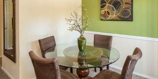 The Versailles Gallery 9