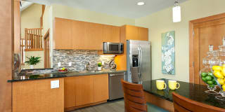 Norwood Gardens Gallery 18