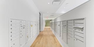 The Katharine Gallery 21