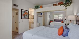 Castlepark Gallery 11