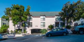 The Dahlia Gallery 1