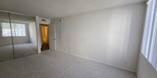 Hillside Terrace Gallery 65