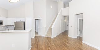 The Rothbury Gallery 94
