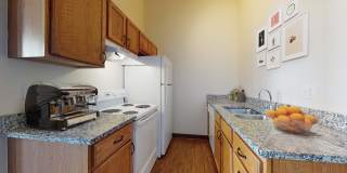 The Burlington Gallery 14