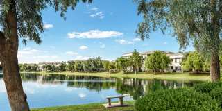 Waterside at Ocotillo by Mark-Taylor Gallery 7