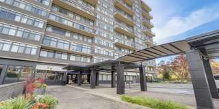 ReNew Mt. Vernon ReNew Mt. Vernon Gallery 68