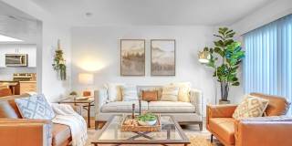 Orchard Cove Gallery 1