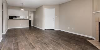 Rise on Cactus Gallery 101