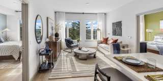 Broadstone Vega Gallery 11