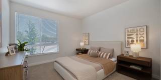 Halcyon Apartments Halcyon Apartments Gallery 80