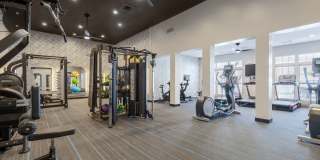 Regent's Park Gallery 25