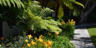 Rancho Monterey Gallery 7