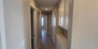 626 Palmwood Lane Gallery 46