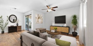The Colony Apartments Gallery 3