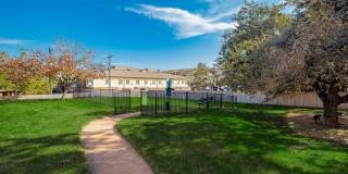 Bridge at Volente Gallery 2