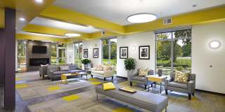 Cornerstone Village Gallery 3