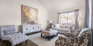 Verde Vue Gallery 19