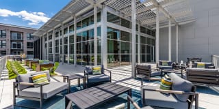 Korina and Alder at The Grove Korina and Alder at The Grove Gallery 5