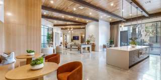 Trailhead East Gallery 13