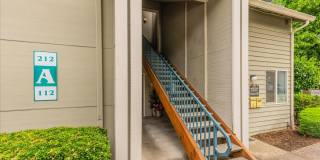 Cedar Grove Gallery 3