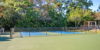 The Preserve at Pine Valley Gallery 25