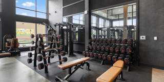 Solana Central Park Gallery 25