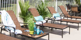 Imperial Palms Gallery 35