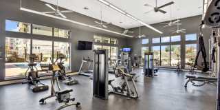 Agora Stone Oak Gallery 7