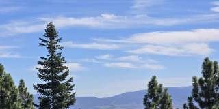 332 Quaking Aspen Ln Gallery 1