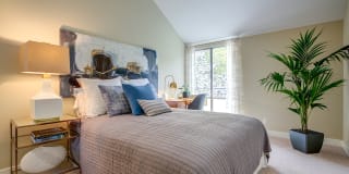 Americana Gallery 21