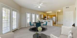 Villaggio Gallery 26