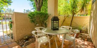 28859 Desert Princess Drive Gallery 5