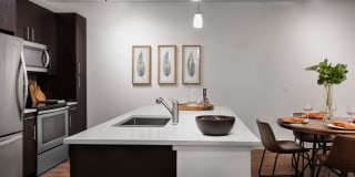 Arcadia Dr. Phillips Arcadia Dr. Phillips Gallery 8