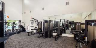 Bexley Steelecroft Gallery 15