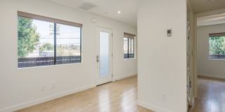 297 Gallery 5