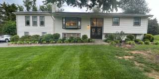 Gorgeous, fully remodeled 5 bed 3 bath centrally located in Great Falls Gallery 3