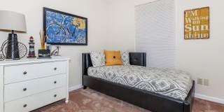 Walnut Springs Apartments Gallery 9