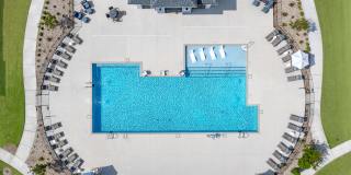 Hawthorne at Pine Forest Gallery 57