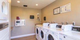Elan Sandpiper Del Mar Gallery 12