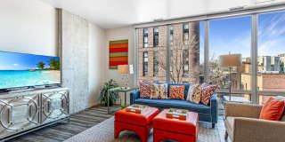 Ovation 309 Gallery 3