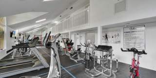 Fully Renovated Corner 2/1 Unit Gallery 39
