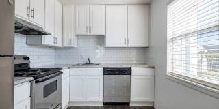 Ascent of Palm Bay Gallery 3