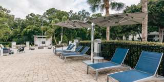 Ocean Oaks Gallery 6